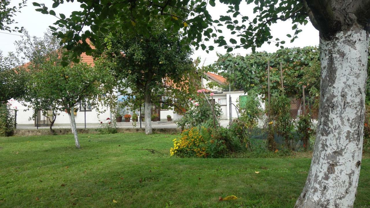 Apartment Mia Donja Pacetina Exterior photo
