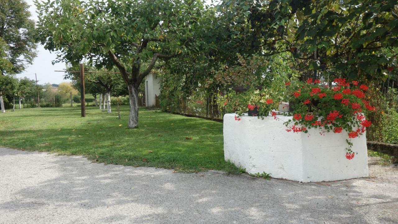 Apartment Mia Donja Pacetina Exterior photo