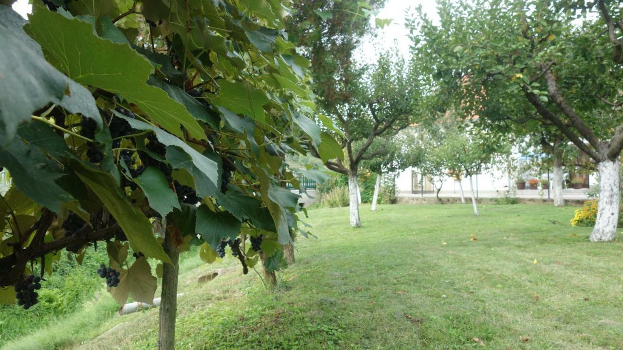 Apartment Mia Donja Pacetina Exterior photo
